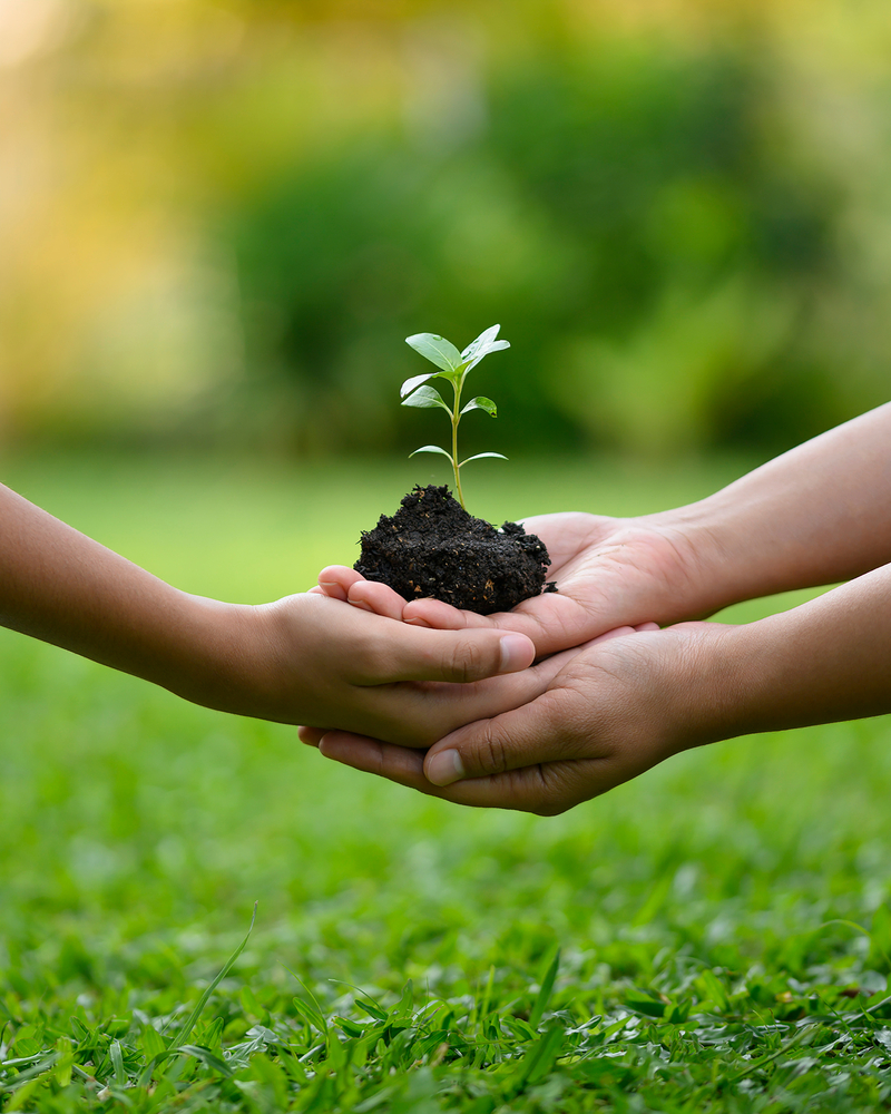 Environment,Earth,Day,In,The,Hands,Of,Trees,Growing,Seedlings.